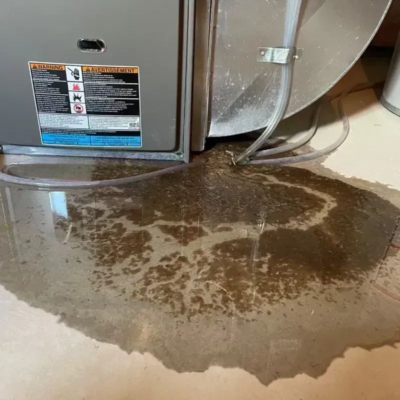 Appliance Leak Cleanup in Houston, MO